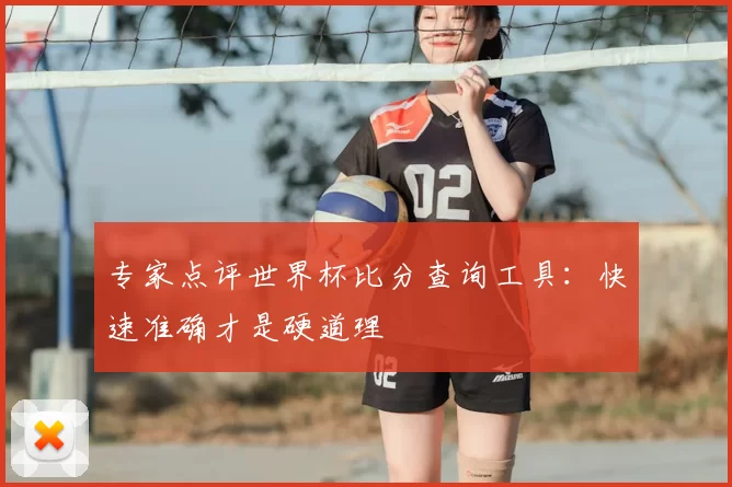 专家点评世界杯比分查询工具:快速准确才是硬道理