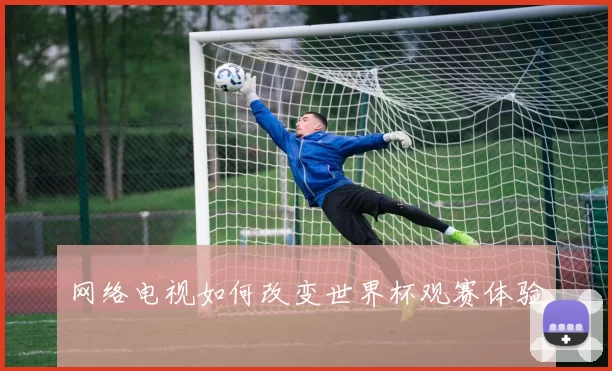 网络电视如何改变世界杯观赛体验