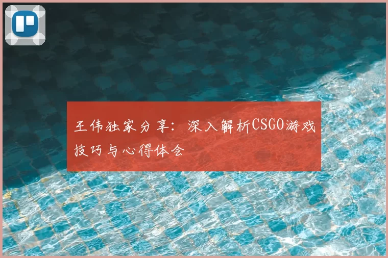 王伟独家分享:深入解析CSGO游戏技巧与心得体会