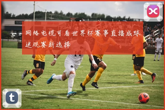 网络电视可看世界杯赛事直播成球迷观赛新选择