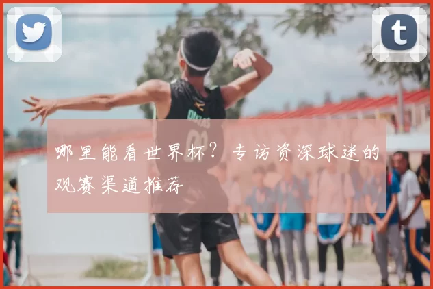 哪里能看世界杯?专访资深球迷的观赛渠道推荐