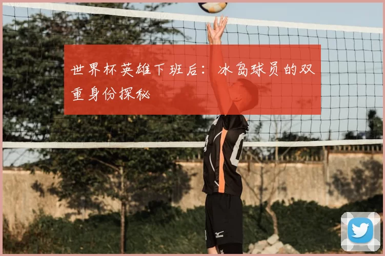世界杯英雄下班后:冰岛球员的双重身份探秘