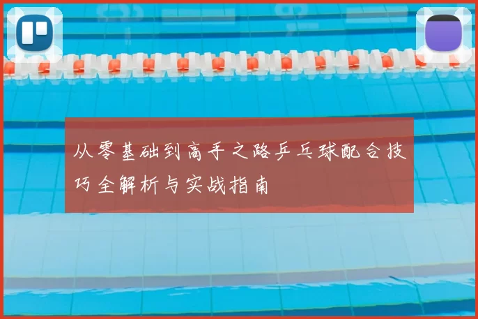 从零基础到高手之路乒乓球配合技巧全解析与实战指南