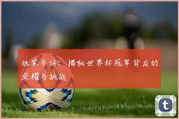 独家专访：揭秘世界杯冠军背后的荣耀与挑战
