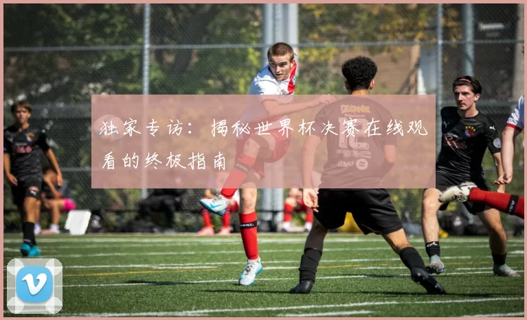 独家专访:揭秘世界杯决赛在线观看的终极指南