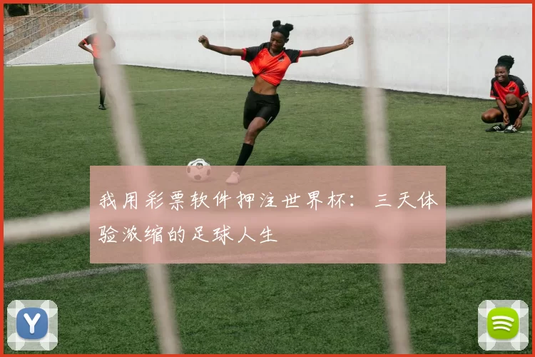 我用彩票软件押注世界杯:三天体验浓缩的足球人生