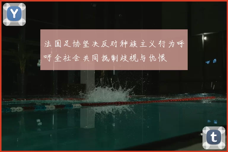 法国足协坚决反对种族主义行为呼吁全社会共同抵制歧视与仇恨
