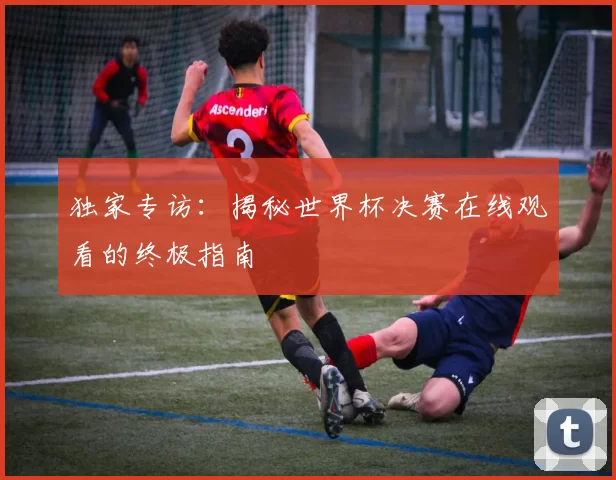 独家专访:揭秘世界杯决赛在线观看的终极指南