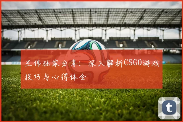 王伟独家分享:深入解析CSGO游戏技巧与心得体会