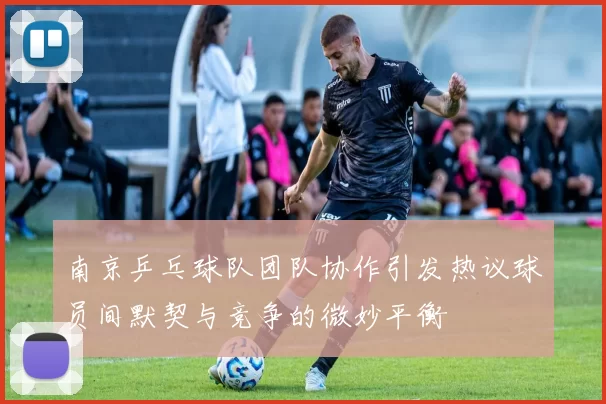 南京乒乓球队团队协作引发热议球员间默契与竞争的微妙平衡